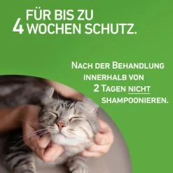 Frontline Combo Spot On Katze -Beeztees Store frontline combo spot on kat 208217 0500 none