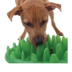 Company Of Animals Northmate Green Slow Dog Feeder -Beeztees Store green slow dog feeder 119422 0500 none