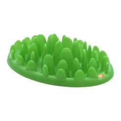 Company Of Animals Northmate Green Slow Dog Feeder