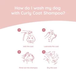 Greenfields Labradoodle Care Set -Beeztees Store greenfields labradoodle care set 220884 0500 none