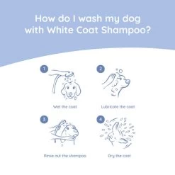 Greenfields Malteser Care Set -Beeztees Store greenfields malteser care set 220905 0500 none