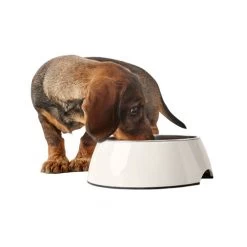 Hunter Melamin Napf - Weiß -Beeztees Store hunter melamine voer en drinkbak wit 169567 0500 none