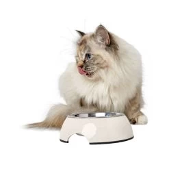 Hunter Melamin Napf - Weiß -Beeztees Store hunter melamine voer en drinkbak wit 169570 0500 none