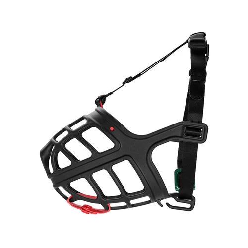 Hunter Maulkorb Albury 1 Hunter Maulkorb Albury