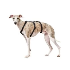 Hunter Vario Rapid Sicherheitsgeschirr - Schwarz -Beeztees Store hunter vario rapid veiligheidsharnas zwart 169501 0500 none