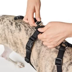 Hunter Vario Rapid Sicherheitsgeschirr - Schwarz -Beeztees Store hunter vario rapid veiligheidsharnas zwart 169504 0500 none