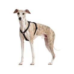 Hunter Vario Rapid Sicherheitsgeschirr - Schwarz -Beeztees Store hunter vario rapid veiligheidsharnas zwart 169507 0500 none