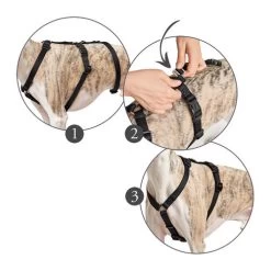 Hunter Vario Rapid Sicherheitsgeschirr - Schwarz -Beeztees Store hunter vario rapid veiligheidsharnas zwart 169510 0500 none