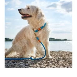 Hunter Verstellbare Führleine Oss 11 Hunter Verstellbare Führleine Oss -Beeztees Store hunter verstelbare riem oss 116580 0500 none