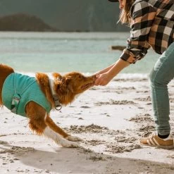 Hurtta Cooling Wrap - Hellblau -Beeztees Store hurtta cooling wrap lichtblauw 178456 0500 none