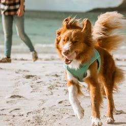 Hurtta Cooling Wrap - Hellblau -Beeztees Store hurtta cooling wrap lichtblauw 178465 0500 none