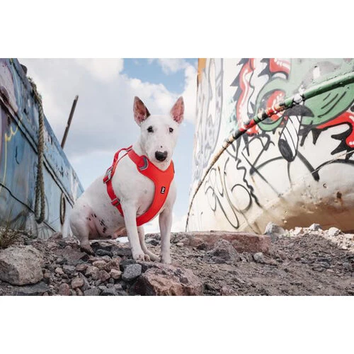 Hurtta Weekend Warrior Eco Geschirr 2 Hurtta Weekend Warrior Eco Geschirr – Bild 2