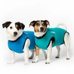 Jacketz Medical Body Suit Für Hunde -Beeztees Store jacketz medical body suit hond 209516 0500 none