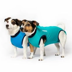 Jacketz Medical Body Suit Für Hunde -Beeztees Store jacketz medical body suit hond 209519 0500 none