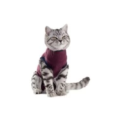 Jacketz Medical Body Suit Für Katzen -Beeztees Store jacketz medical body suit kat 154129 0500 none
