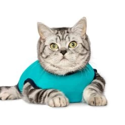 Jacketz Medical Body Suit Für Katzen -Beeztees Store jacketz medical body suit kat 209783 0500 none