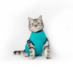 Jacketz Medical Body Suit Für Katzen -Beeztees Store jacketz medical body suit kat 209789 0500 none