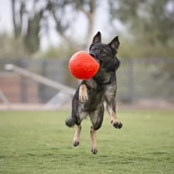 Jolly Soccer Ball -Beeztees Store jolly soccer ball 162241 0500 none