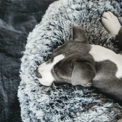 Kentucky Dogwear - Comfort Donut-Hundekorb -Beeztees Store kentucky dogwear comfort donut hondenmand 219723 0500 none