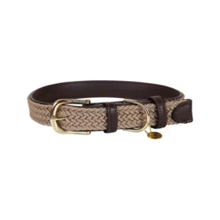 Kentucky Dogwear Nylon Hundehalsband -Beeztees Store kentucky dogwear nylon hondenhalsband 219176 0500 none