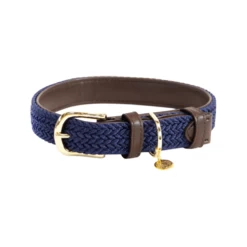 Kentucky Dogwear Nylon Hundehalsband -Beeztees Store kentucky dogwear nylon hondenhalsband 219180 0500 none