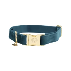 Kentucky Dogwear Velvet Hundehalsband -Beeztees Store kentucky dogwear velvet hondenhalsband 219231 0500 none