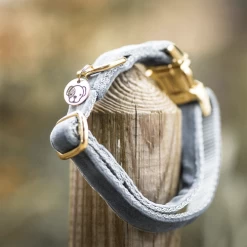 Kentucky Dogwear Velvet Hundehalsband -Beeztees Store kentucky dogwear velvet hondenhalsband 219236 0500 none