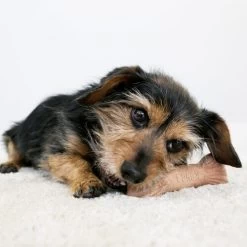 KONG ChewStix Ultra Stick 9 KONG ChewStix Ultra Stick -Beeztees Store kong chewstix ultra stick 180856 0500 none