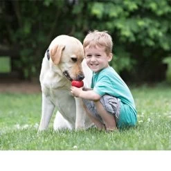 KONG Classic -Beeztees Store kong classic 98642 0500 none