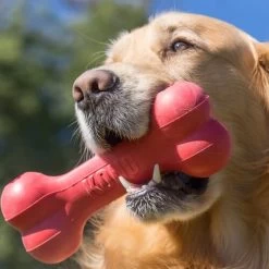 KONG Goodie Bone -Beeztees Store kong goodie bone 194186 0500 none