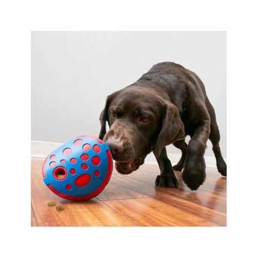 Kong Rewards Wally 2 Kong Rewards Wally – Bild 2