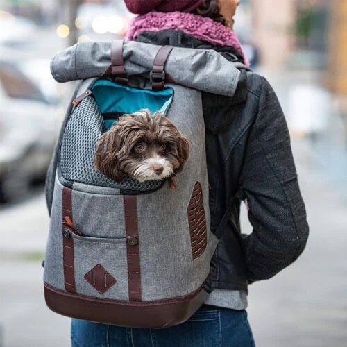 Kurgo K9 Rucksack 4 Kurgo K9 Rucksack – Bild 4