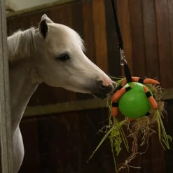 Maximus Fun Play Ball Für Pferde -Beeztees Store maximus fun play ball voor paarden 207830 0500 none