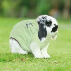 Medical Pet Shirt Kaninchen -Beeztees Store medical pet shirt konijn 149891 0500 none