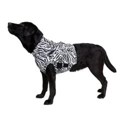 Medical Pet Top Shirt Zebra