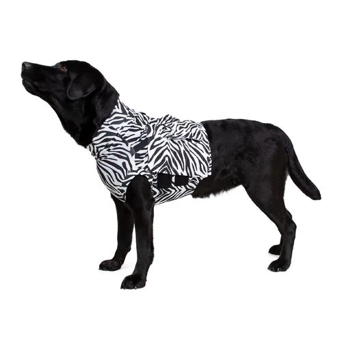 Medical Pet Top Shirt Zebra 1 Medical Pet Top Shirt Zebra