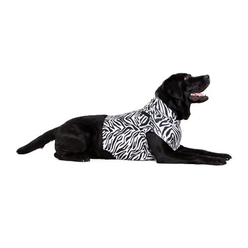 Medical Pet Top Shirt Zebra 2 Medical Pet Top Shirt Zebra – Bild 2