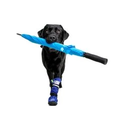 Medical Pet Shirt Boot -Beeztees Store medical pets boot 167482 0500 none