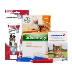 Medpets Kitten-Paket - 2 Bis 4 Kg