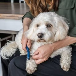 Mikki Doodle De-Matter -Beeztees Store mikki doodle de matter 194483 0500 none