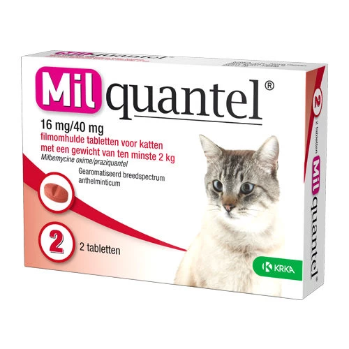 Milquantel Katze 4 Milquantel Katze – Bild 4