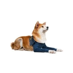 MPS-TAZ2 Vorderpfotenschutz -Beeztees Store mps taz2 voorpootmouwtjes 167446 0500 none