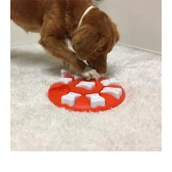 Nina Ottosson Dog Smart 12 Nina Ottosson Dog Smart -Beeztees Store nina ottosson dog smart 96035 0500 none