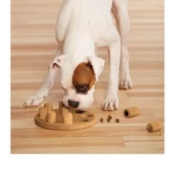 Nina Ottosson Dog Smart 13 Nina Ottosson Dog Smart -Beeztees Store nina ottosson dog smart 96080 0500 none