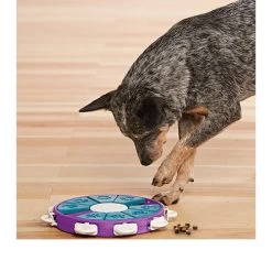 Nina Ottosson Dog Twister -Beeztees Store nina ottosson dog twister 96122 0500 none