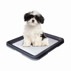 Nobby Doggy Trainer & Pads 7 Nobby Doggy Trainer & Pads -Beeztees Store nobby doggy trainer 130277 0500 none