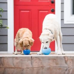 Planet Dog Orbee-Tuff Lil’ Snoop Toy -Beeztees Store orbee tuff lil snoop toy 203408 0500 none