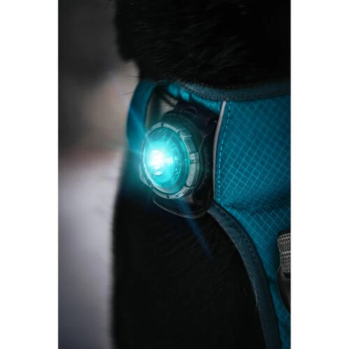 Orbiloc Dog Dual Safety Light 3 Orbiloc Dog Dual Safety Light – Bild 3