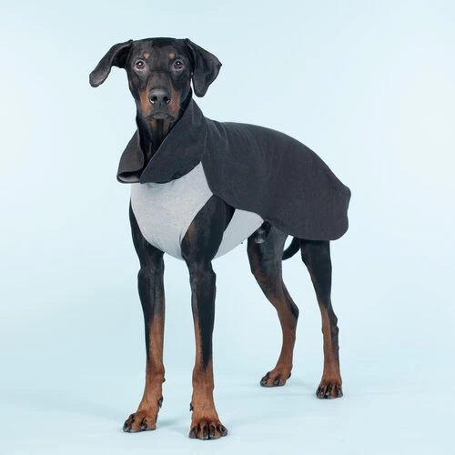 PAIKKA Recovery Winter Shirt 2 PAIKKA Recovery Winter Shirt – Bild 2