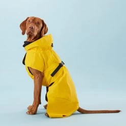 PAIKKA Visibility Raincoat Lite Yellow 8 PAIKKA Visibility Raincoat Lite Yellow -Beeztees Store paikka visibility raincoat lite yellow 217726 0500 none